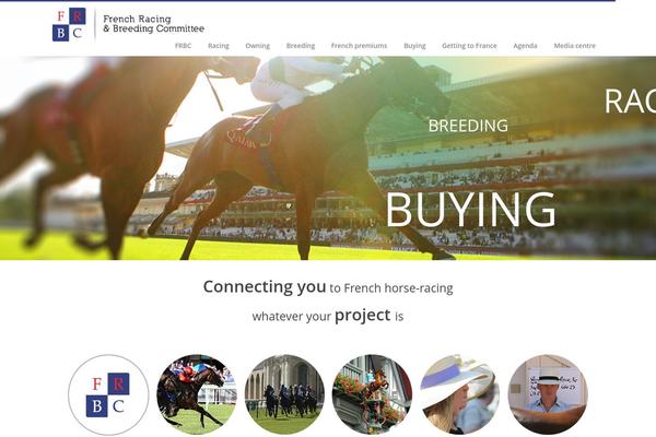 Arona theme site design template sample