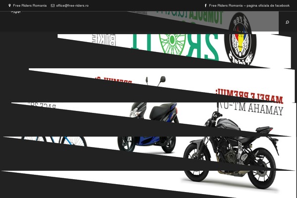 Zeyn theme site design template sample