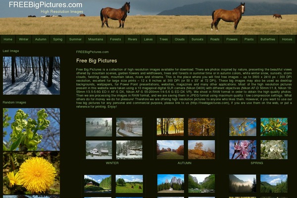 OceanWP theme site design template sample