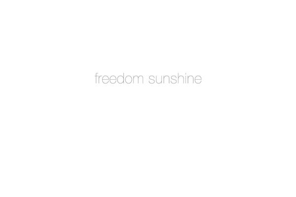 Freedom theme site design template sample
