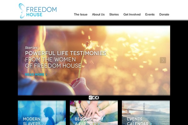 Striking theme site design template sample