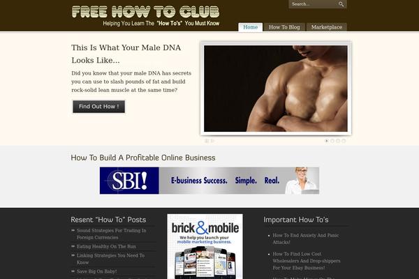 PureVISION WordPress theme, websites list used PureVISION theme PureVISION theme websites examples