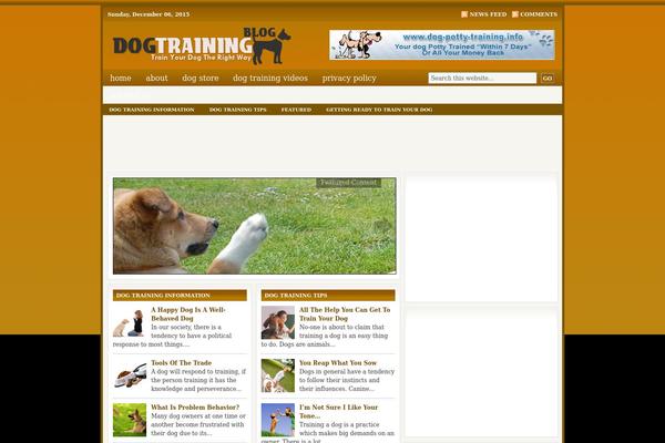 Lifestyle 2.0 theme site design template sample