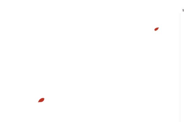 Site using Clearfy-pro plugin
