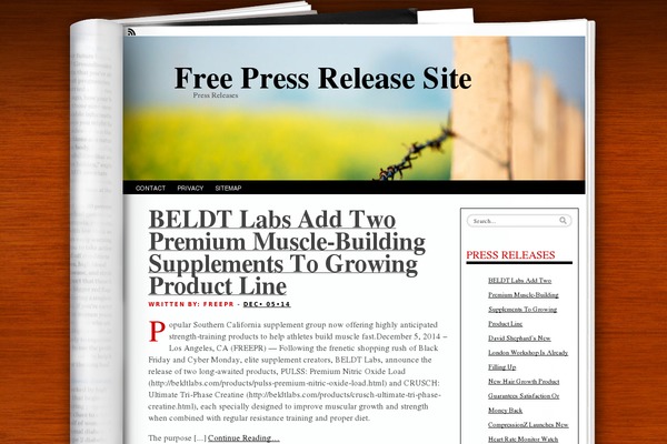 Fresh Ink Magazine theme site design template sample