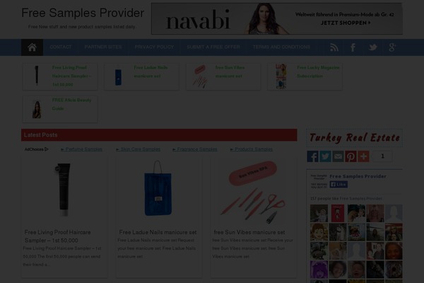 ProMax theme site design template sample