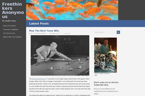 Site using WP External Links (nofollow new window seo) plugin