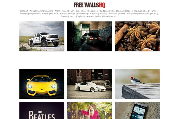 anuj theme websites examples