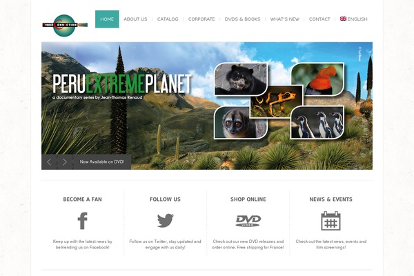 Bigbang theme site design template sample