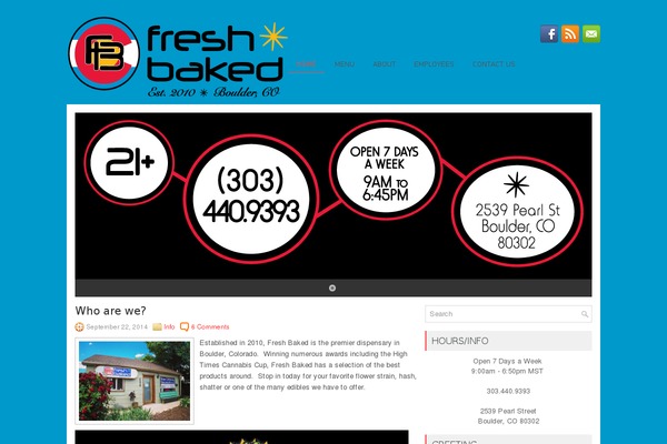 Netbiz theme site design template sample