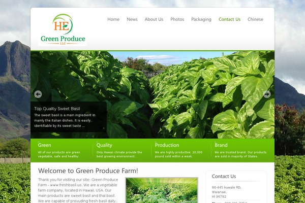 Ecobiz theme site design template sample