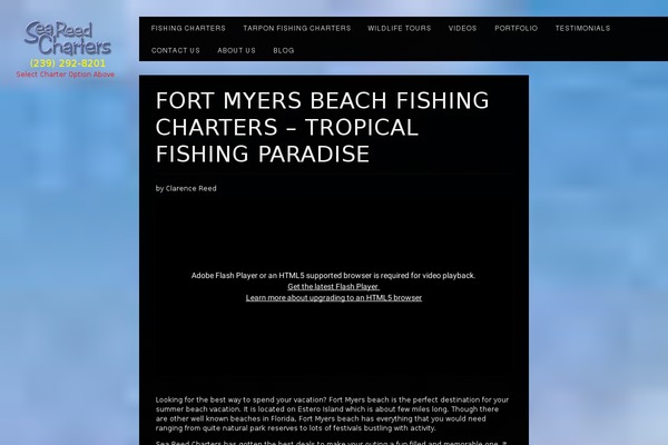 Vixen theme site design template sample