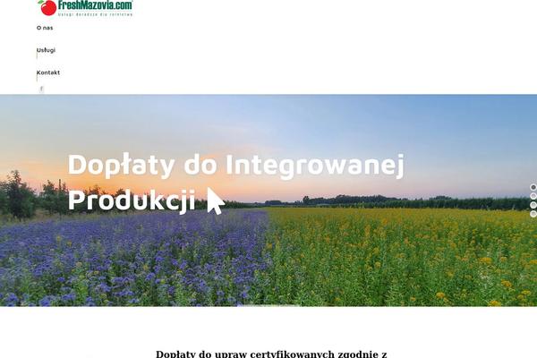 The7 theme site design template sample