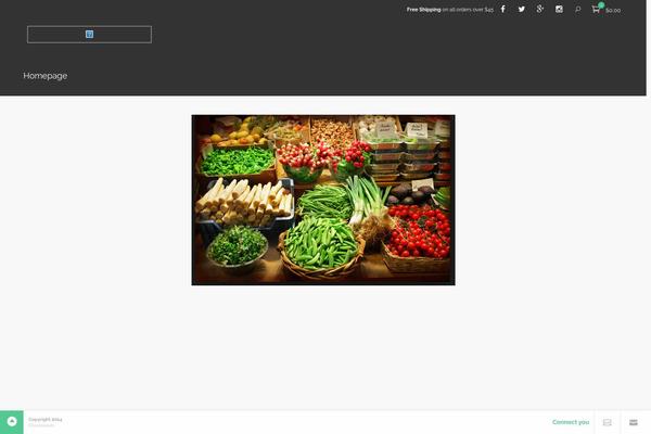 Aktina theme site design template sample