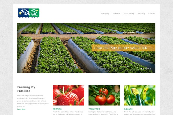 Craft theme site design template sample