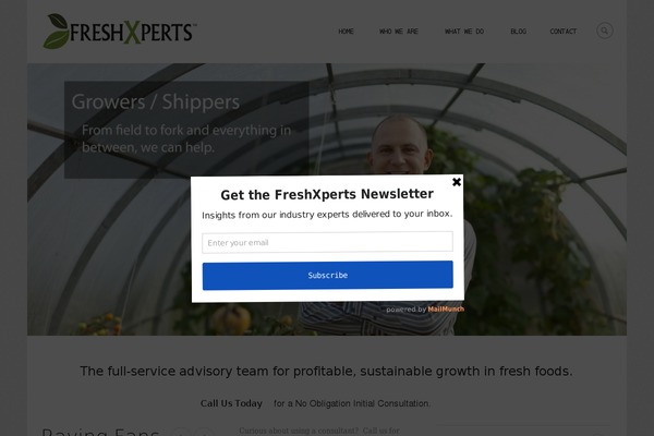 Consulting theme site design template sample