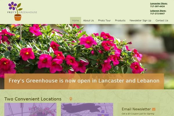 Strappress theme site design template sample