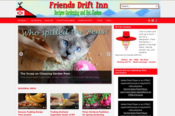 Arras WP theme theme site design template sample