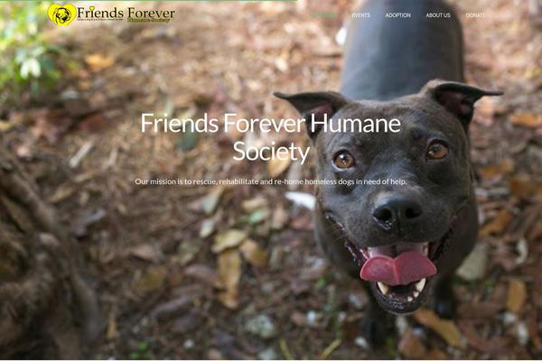 PetCare theme site design template sample