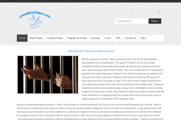Simple Catch theme site design template sample