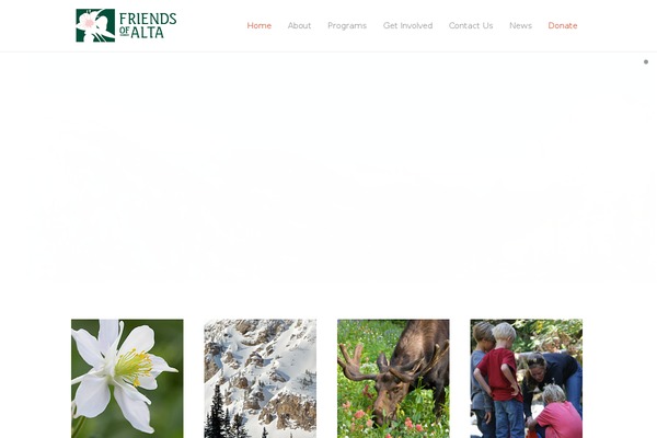 Eco Nature theme site design template sample