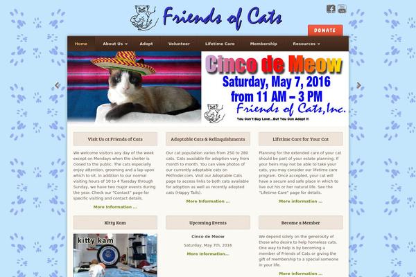 Earth theme site design template sample