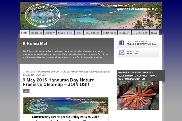 Mainstream theme site design template sample