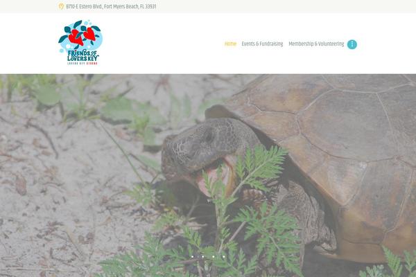 Playa theme site design template sample