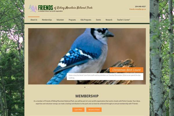 Phoenix-v1-06 theme site design template sample