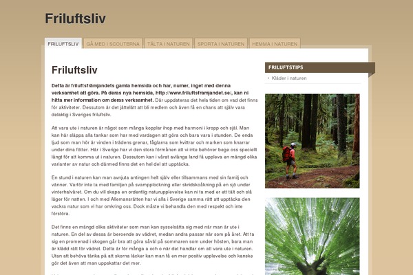 Mainstream theme site design template sample