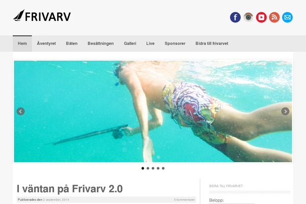 Coller theme site design template sample