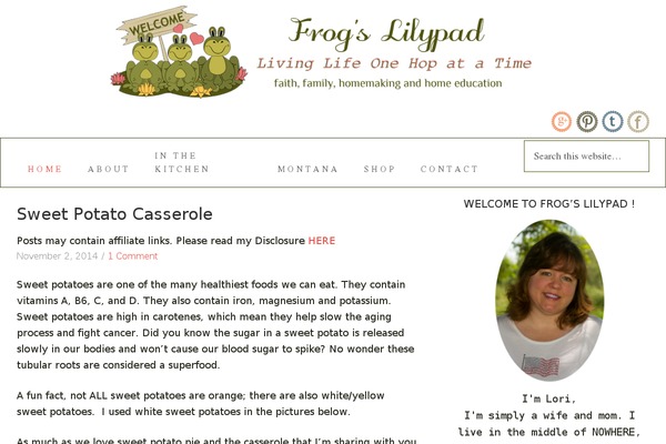 Beautiful Pro Theme theme site design template sample