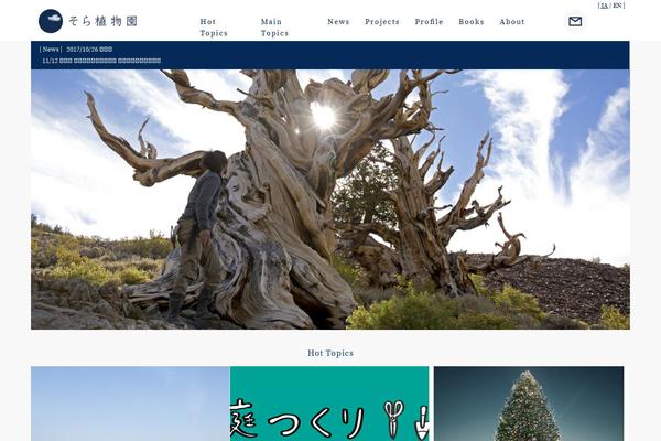Sora theme site design template sample