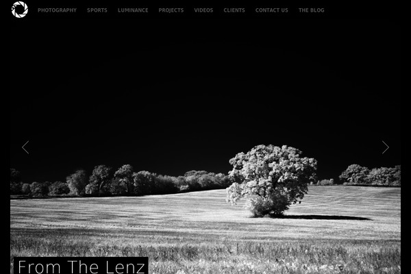 Artemis theme site design template sample