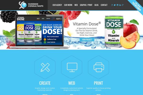 frooweb.com site used Web Design