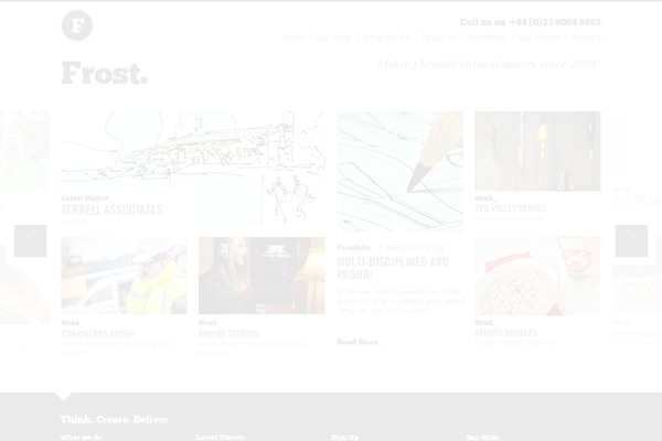 Frost theme site design template sample