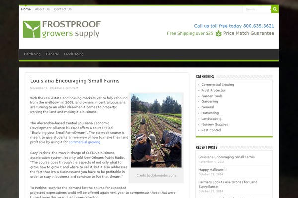 Sahifa theme site design template sample