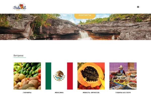 Pixova Lite theme site design template sample