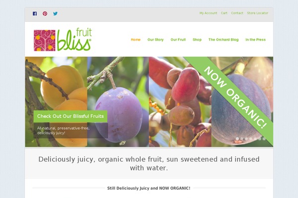 Gather theme site design template sample