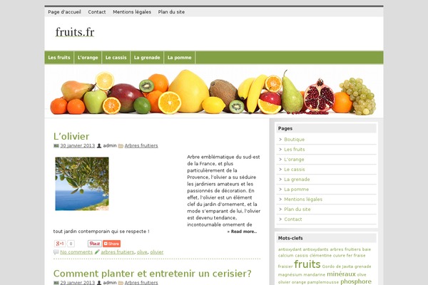 zeeMagazine theme site design template sample