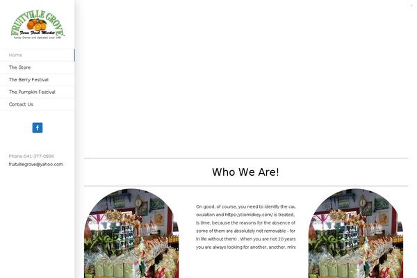 Avada Child theme site design template sample