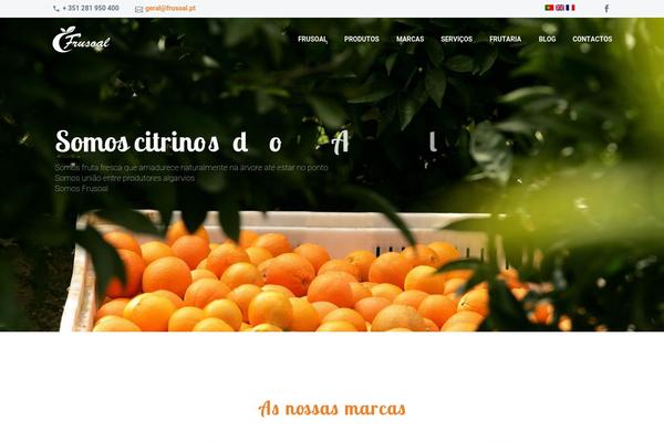 Site using Dhvc-form plugin