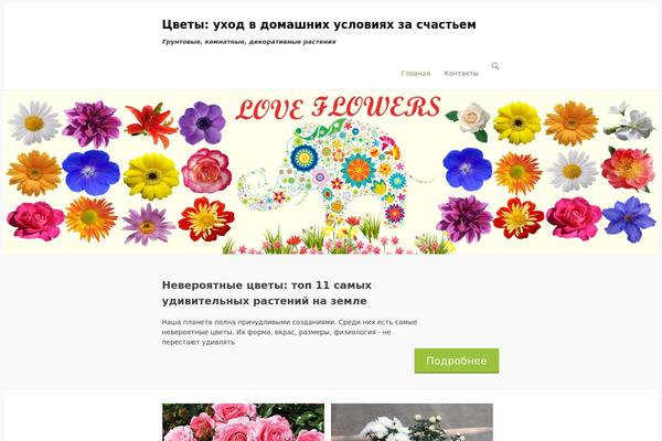 frutisad.ru site used Simplepuzzle