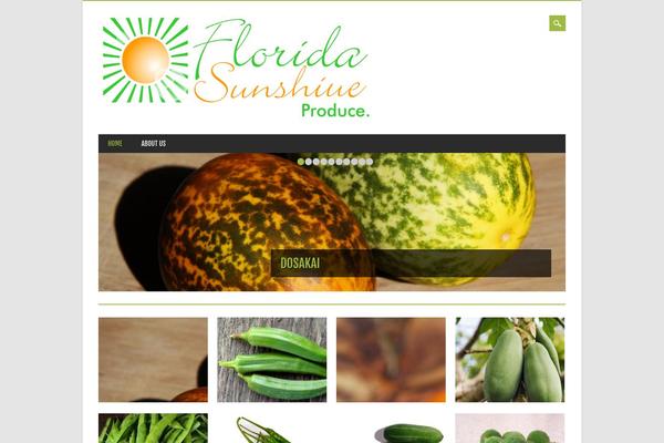fsfreshproduce.com site used Magazino