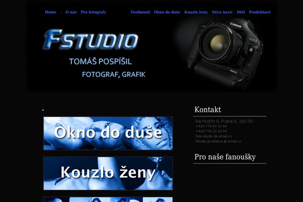 Colourise theme site design template sample