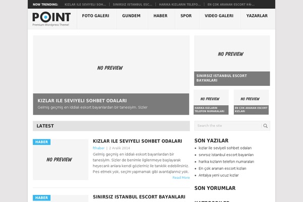 Point theme site design template sample