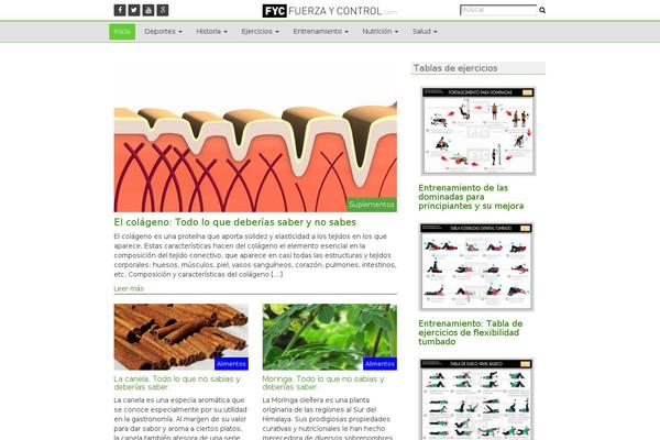 fuerzaycontrol.com site used Img
