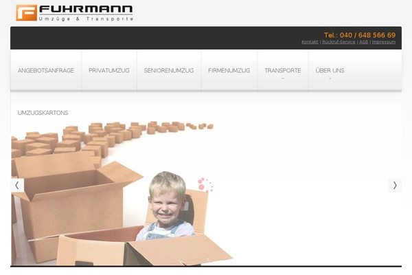 RT-Theme 12 theme site design template sample
