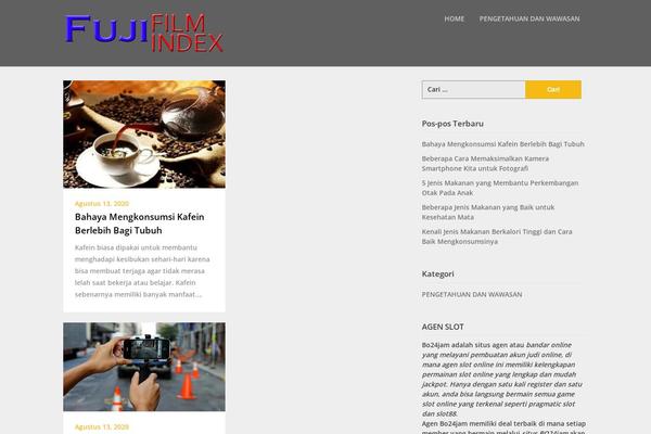 Writers Blogily theme site design template sample