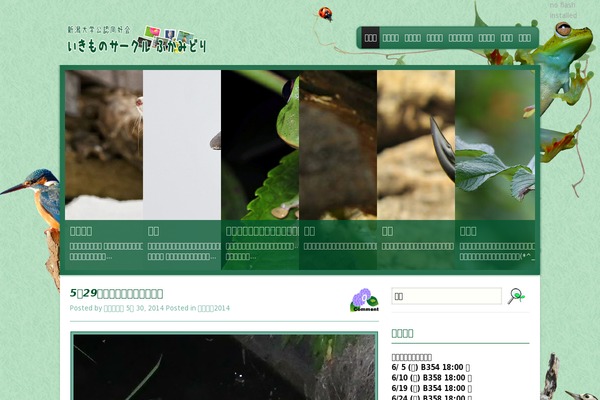 fukamidori.org site used Fukamidori